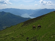 Immagini dall'ALPE GIUMELLO e MONTE MUGGIO del 24 maggio 2012